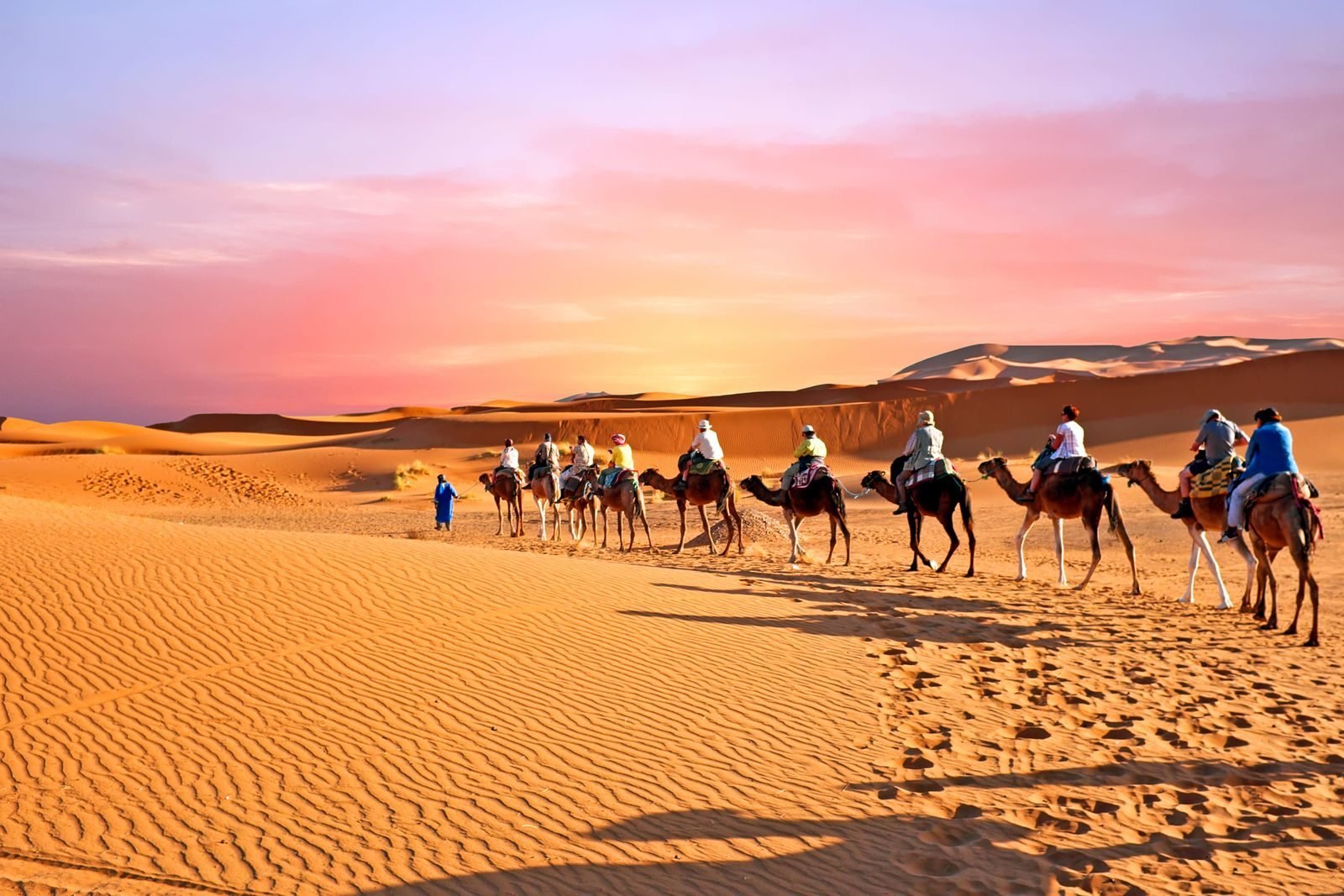 The Sahara